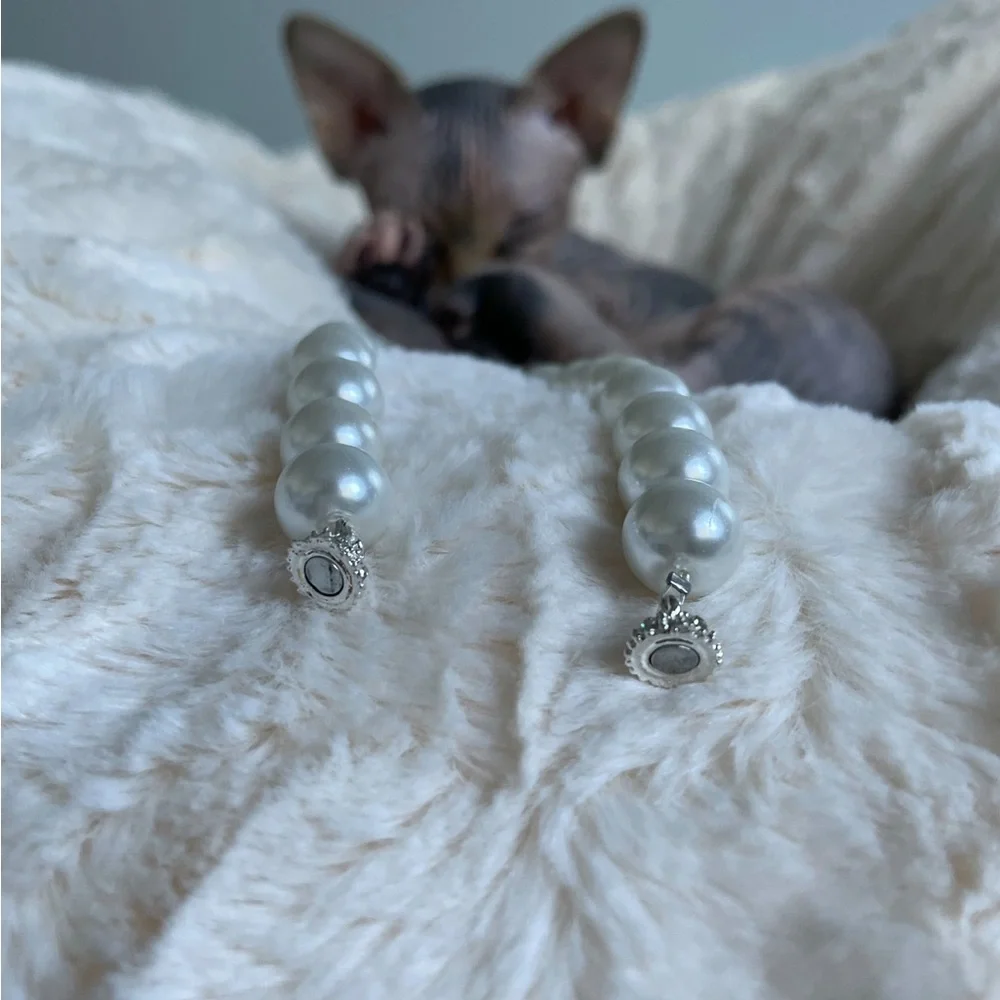 Bougie magnetic cat collar -fancy cat collar - fancy dog collar-photo prop